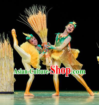 Traditional Chinese Classic Stage Performance Dance Costume, Folk Dance Drum Dance Uniform Yangko Clothing for Kids