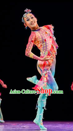 Traditional Chinese Classic Stage Performance Dance Costume, Chinese Folk Dance Ballet Dance Clothing for Women