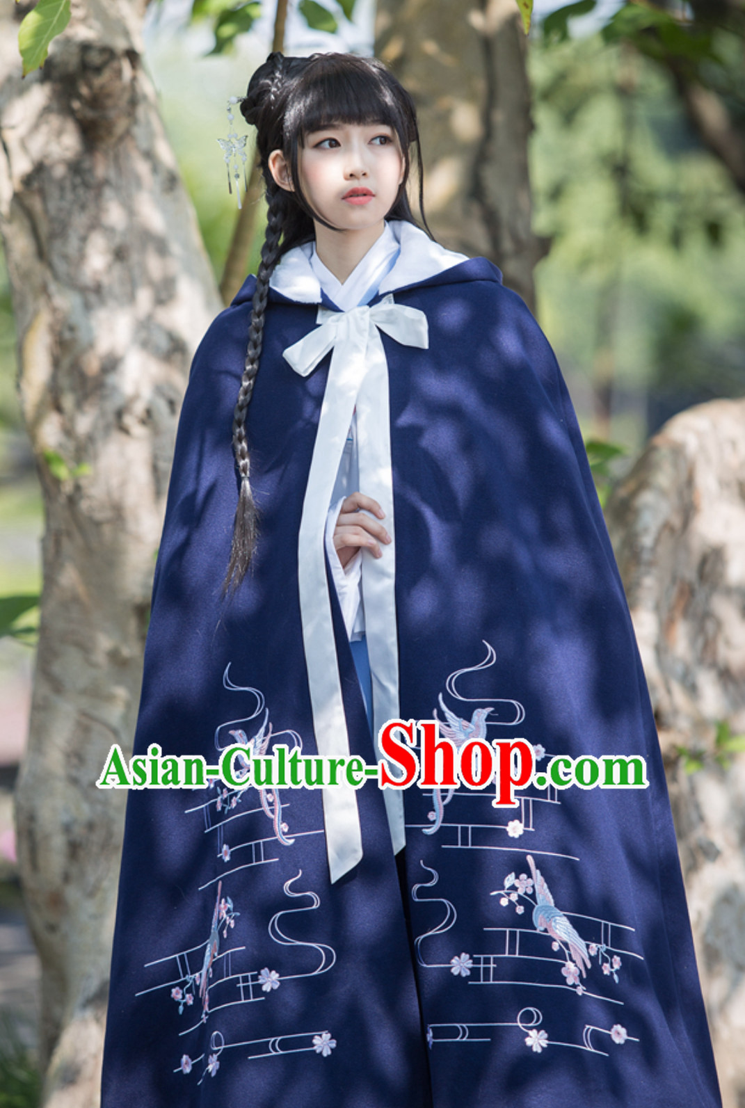 Ancient Chinese Style Embroidered Mantle Cape Hanfu Dress