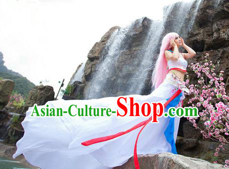 Traditional Ancient Chinese Cos Swordsman White Costumes for Women