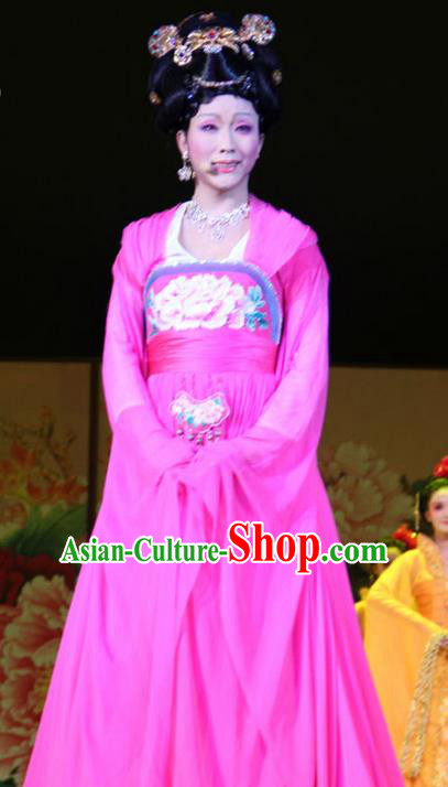 Ancient Chinese Costume Chinese Style Wedding Dress Tang Dynasty Clothing