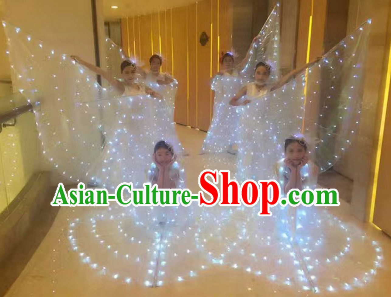 LED Dance Costumes Professional Dance LED Costumes Butterfly LED Lights Costume and Headgear Complete Set