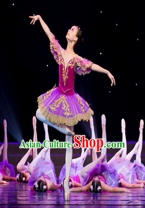 Traditional Modern Dancing Compere Costume, Women Opening Classic Chorus Singing Group Dance Bubble Dress Tu Tu Dancewear, Modern Dance Classic Ballet Dance Purple Veil Dress for Kids