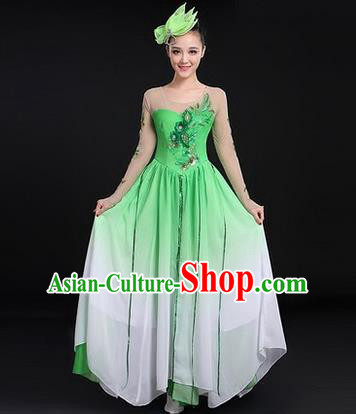 Traditional Chinese Modern Dancing Costume, Women Opening Classic Chorus Singing Group Dance Costume, Modern Dance Big Swing Dress for Women