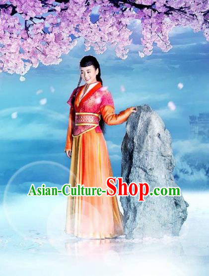 Traditional Ancient Chinese Chivalrous Swordswoman Costume, Chinese Ming Dynasty Palace Woman Dress, Cosplay Chinese Television Drama Flying Daggers Princess Hanfu Clothing for Women