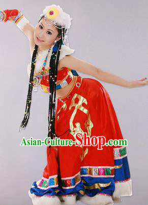 Traditional Chinese Zang Nationality Dancing Costume, Tibetan Female Folk Dance Ethnic Skirt, Chinese Tibetan Minority Nationality Embroidery Costume for Women