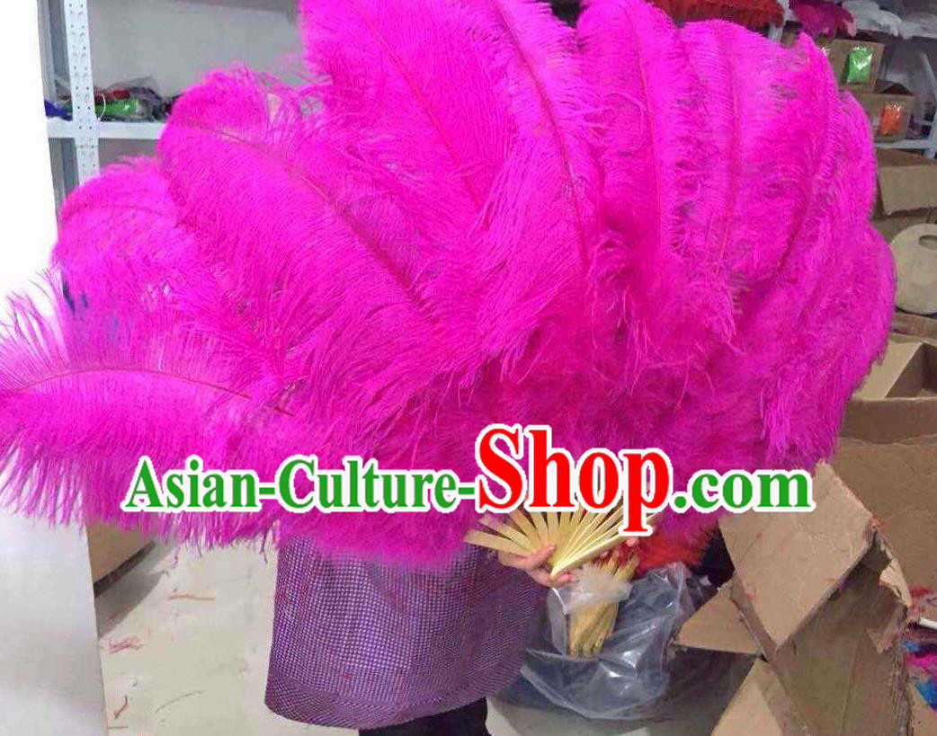 Top Grade Professional Performance Catwalks Pink Feather Big Fans, Brazilian Rio Carnival Parade Samba Dance Folding Fans