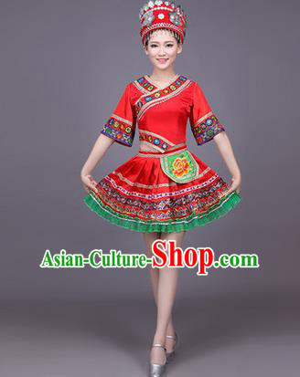 Traditional Chinese Miao Nationality Dance Costume, Hmong Female Folk Dance Ethnic Pleated Skirt, Chinese Minority Nationality Embroidery Red Dress for Women