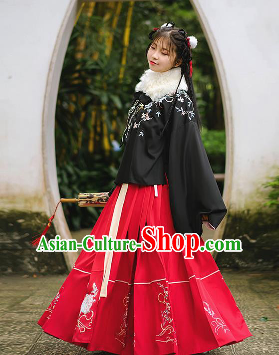 Traditional Chinese Ming Dynasty Young Lady Costume, Elegant Hanfu Clothing Embroidered Horse-face Skirt, Chinese Ancient Princess Clothing for Women