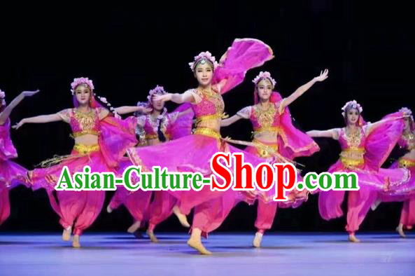 Traditional Chinese Mongol Nationality Dancing Costume, Mongols Female Folk Indian Dance Clothing, Chinese Belly Dance Embroidery Rosy Costume for Women