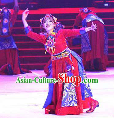 Traditional Chinese Zang Nationality Dancing Costume, Tibetan Folk Dance Ethnic Red Pleated Skirt, Chinese Minority Nationality Embroidery Costume for Women