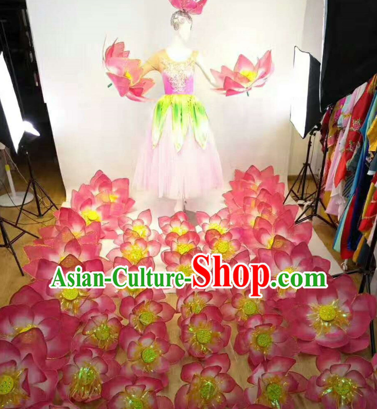 Professional Stage Performance Costumes Made to Order Custom Tailored Costume Garment and Headpieces Complete Set