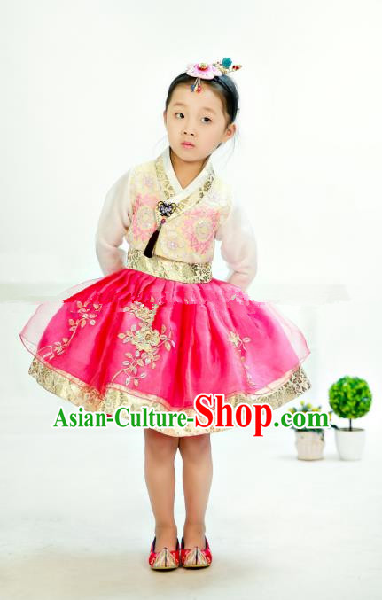 Traditional South Korean Handmade Hanbok Children Embroidery Birthday Rosy Bubble Dress, Top Grade Korea Hanbok Costume Complete Set for Kids