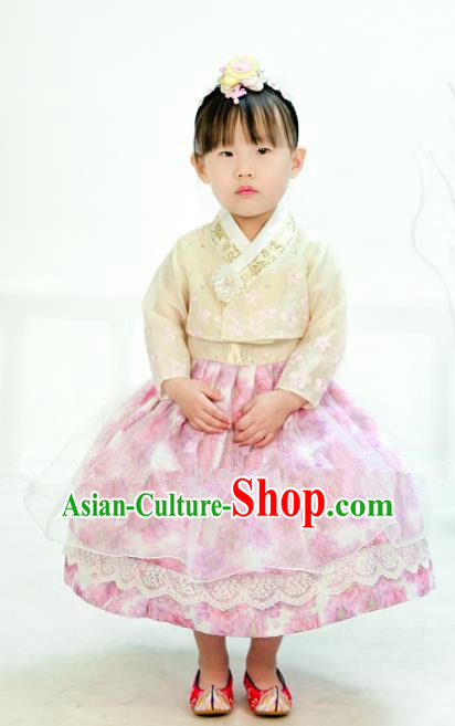 Traditional South Korean Handmade Hanbok Children Little Girls Birthday Customization Embroidery White Blouse and Pink Dress Complete Set, Top Grade Korea Hanbok Costume for Kids