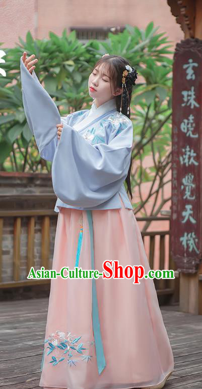 Traditional Chinese Ancient Hanfu Costume Palace Lady Dress, Asian China Ming Dynasty Embroidered Blue Blouse and Skirt Clothing for Women