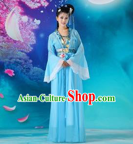 Traditional Ancient Chinese Palace Lady Fairy Costume, Asian Chinese Tang Dynasty Princess Embroidered Blue Dress Clothing for Women