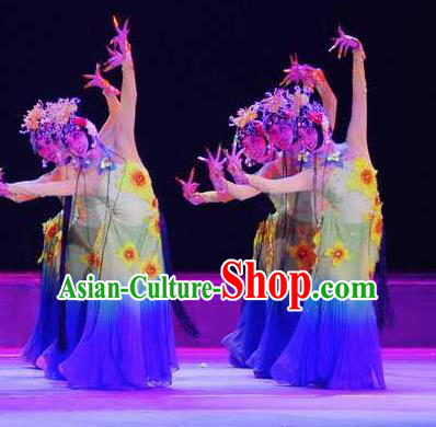 Chinese Traditional Folk Dance Costume Beijing Opera Classical Dance Dress for Women