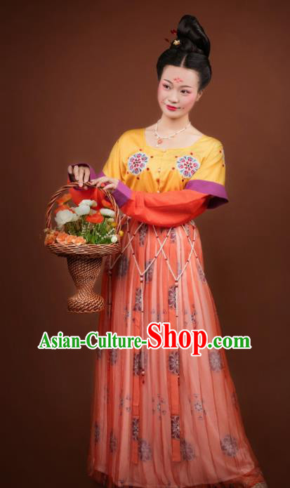 Traditional Chinese Tang Dynasty Palace Lady Hanfu Dress Ancient Apsara Princess Costumes for Women