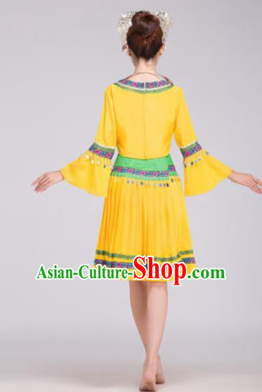 Traditional Chinese Fan Dance Folk Dance Costume Classical Yangko Dance Classical Dance Dress