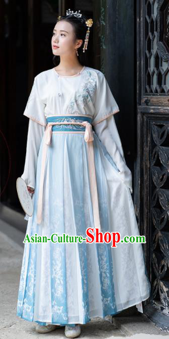 Ancient Chinese Tang Dynasty Princess Costumes Fairy Embroidered Hanfu Dress for Women