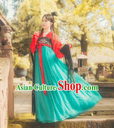 Chinese Ancient Peri Hanfu Dress Tang Dynasty Palace Princess Costumes for Women