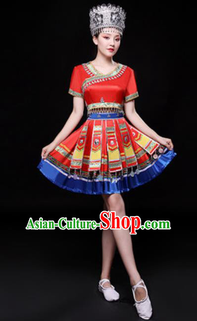 Traditional Chinese Fan Dance Folk Dance Costume Classical Yangko Dance Classical Dance Dress