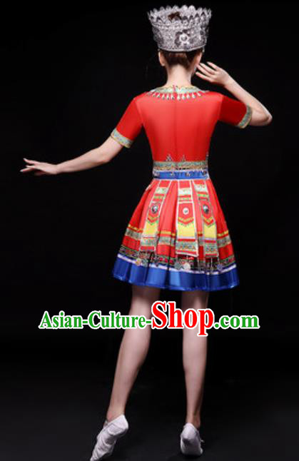 Traditional Chinese Fan Dance Folk Dance Costume Classical Yangko Dance Classical Dance Dress