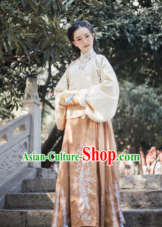 Chinese Ancient Ming Dynasty Princess Hanfu Dress Traditional Embroidered Costumes for Women