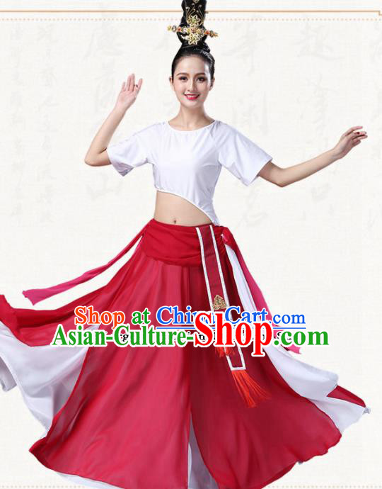 Chinese Traditional Classical Dance Dress Ancient Group Dance Costumes for Women