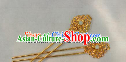 Traditional Chinese Ancient Tang Dynasty Princess Hair Accessories Golden Hairpins for Women