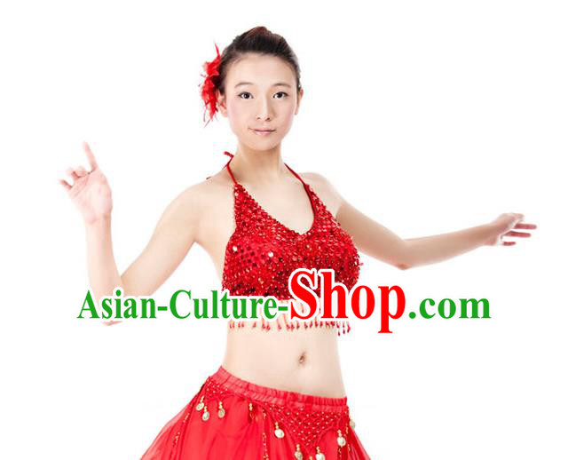 Top Indian Bollywood Belly Dance Costume Oriental Dance Red Paillette Brassiere for Women