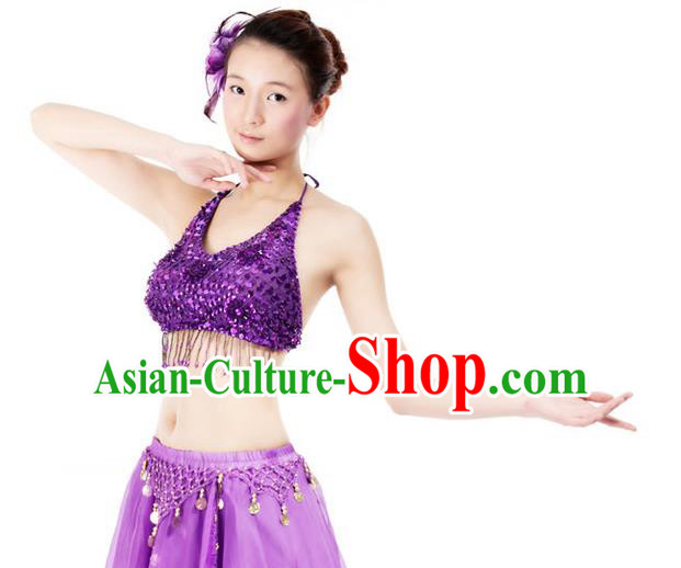 Top Indian Bollywood Belly Dance Costume Oriental Dance Purple Paillette Brassiere for Women