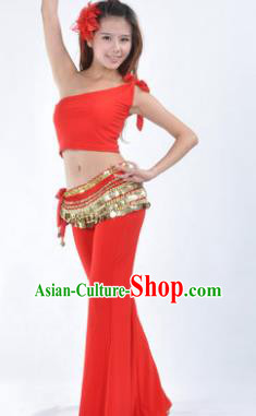 Asian Indian Belly Dance Costume India Oriental Dance Red Suits for Women