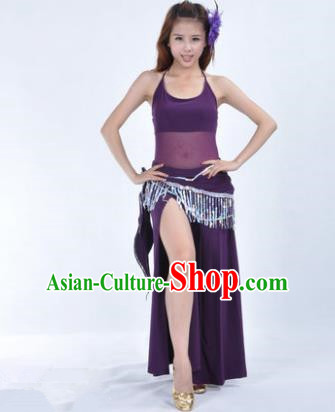 Traditional Indian National Belly Dance Purple Dress India Oriental Dance Costume for Women