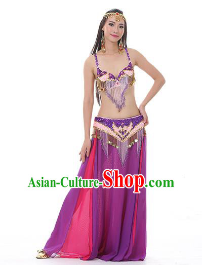 Indian National Belly Dance Clothing India Oriental Dance Sexy Purple Dress for Women