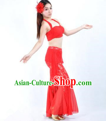 Indian National Belly Dance Red Lace Suits Bollywood Oriental Dance Costume for Women