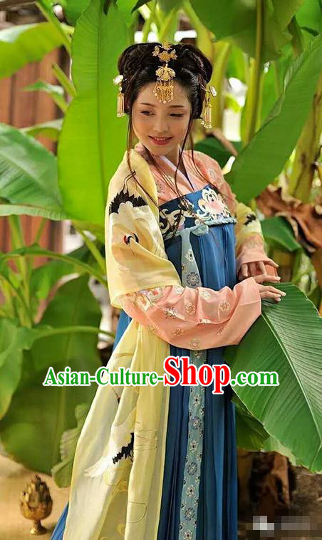 Traditional Chinese Tang Dynasty Palace Lady Dress Ancient Princess Embroidered Costume for Women