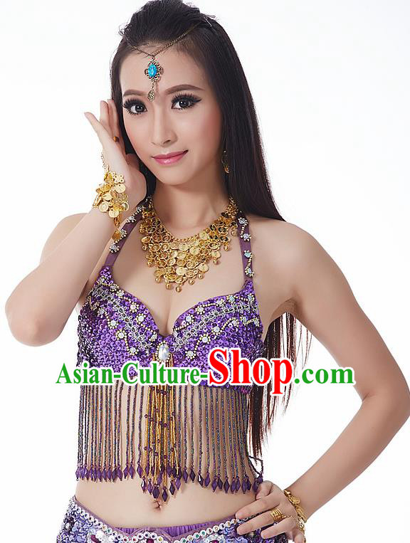 Indian National Belly Dance Tassel Purple Brassiere Bollywood Oriental Dance Costume for Women