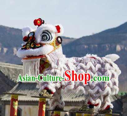 Chinese Traditional Parade Wool Lion Head Professional Celebration Lion Dance Costumes Complete Set