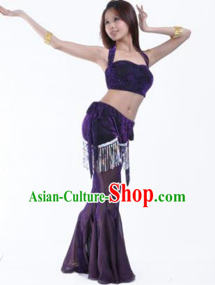 Traditional Indian Belly Dance Training Clothing India Oriental Dance Purple Outfits for Women