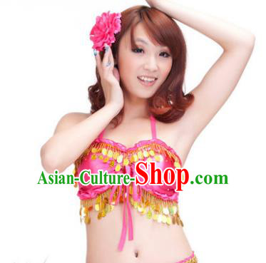 Indian Belly Dance Rosy Garter Brassiere Asian India Oriental Dance Costume for Women