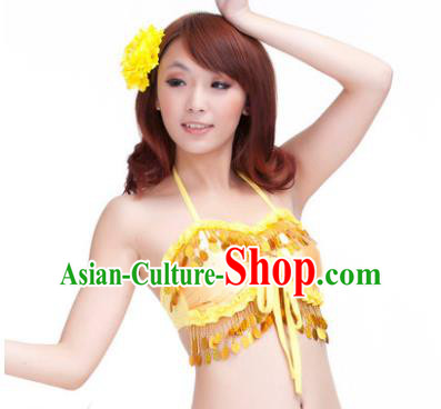 Indian Belly Dance Golden Garter Brassiere Asian India Oriental Dance Costume for Women