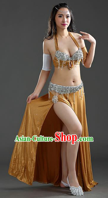 Traditional Egypt Dance Peacock Golden Dress India Oriental Belly Dance Costume for Women