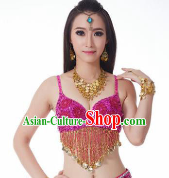 Indian Belly Dance Flowers Rosy Brassiere Asian India Oriental Dance Costume for Women