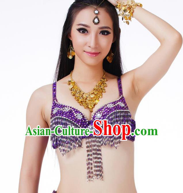 Traditional Belly Dance Purple Tassel Brassiere Upper Outer Garment Indian Oriental Dance Costume for Women