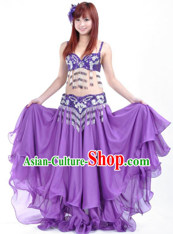 Asian Indian Traditional Oriental Dance Purple Dress Belly Dance Stage Performance Costume for Women