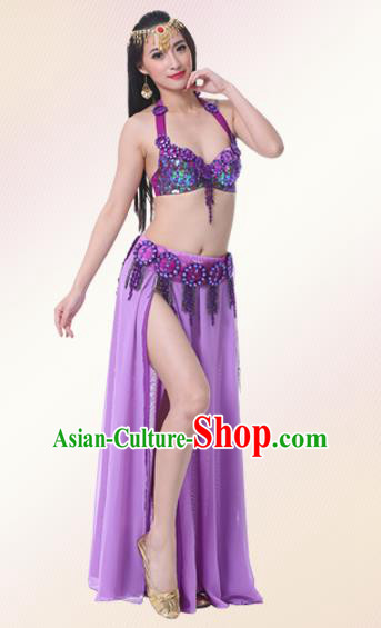 Indian Oriental Belly Dance Performance Purple Dress Traditional Raks Sharki Dance Costume for Women