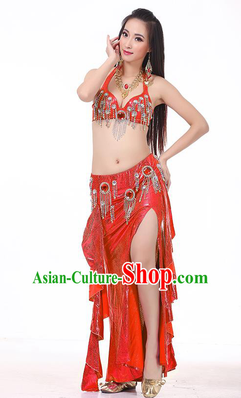 Top Indian Belly Dance Red Dress India Traditional Raks Sharki Oriental Dance Performance Costume for Women