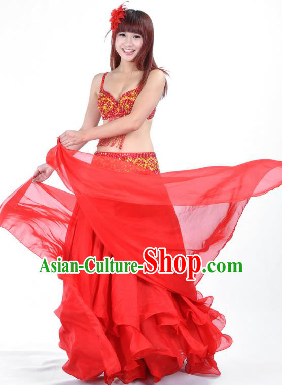 Indian Traditional Bollywood Belly Dance Costume Classical Oriental Dance Red Dress for Women