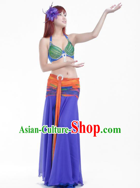 Indian Traditional Belly Dance Costume Classical Oriental Dance Purple Dress for Women